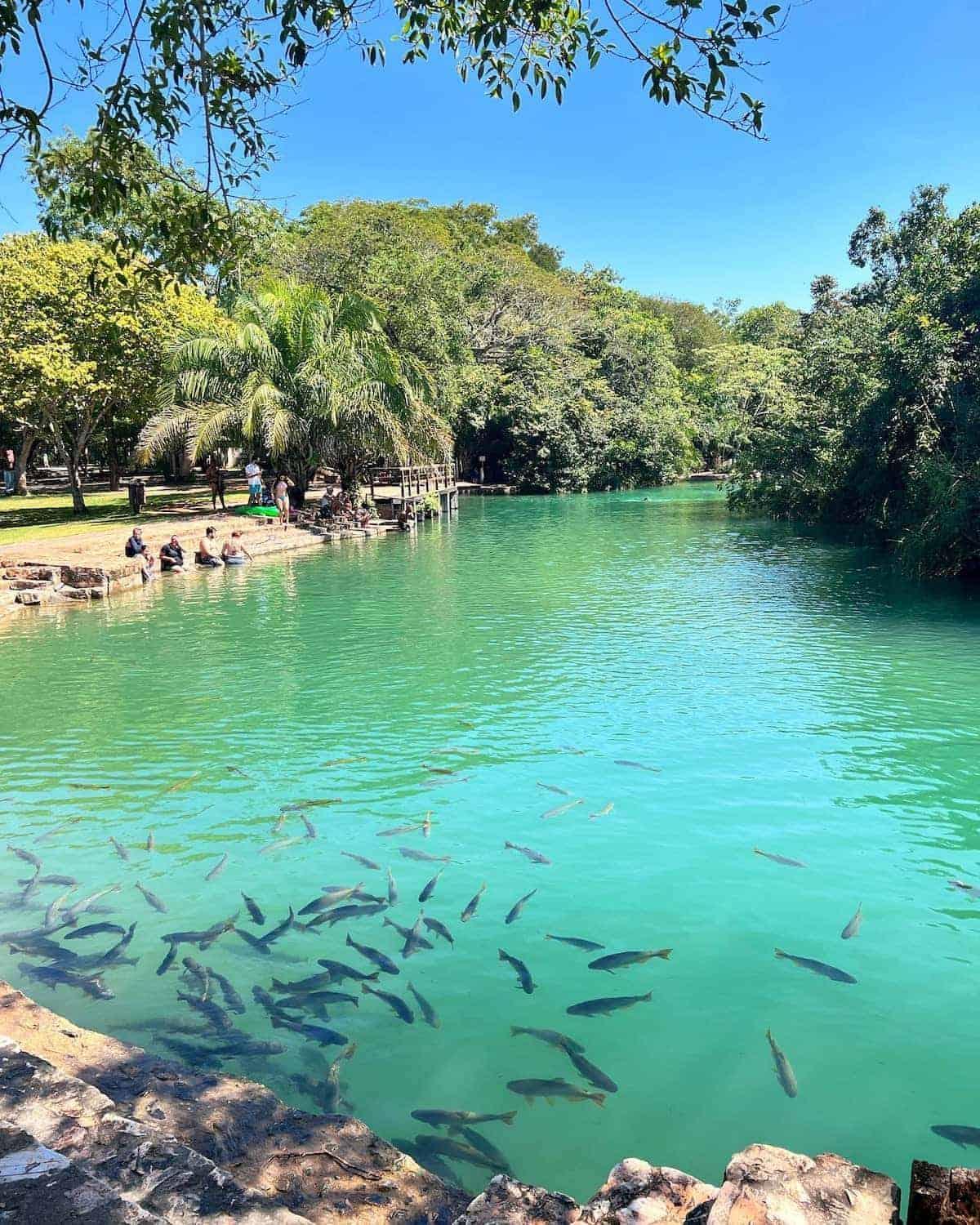 بونيتو Barra Bonita Pousada المظهر الخارجي الصورة